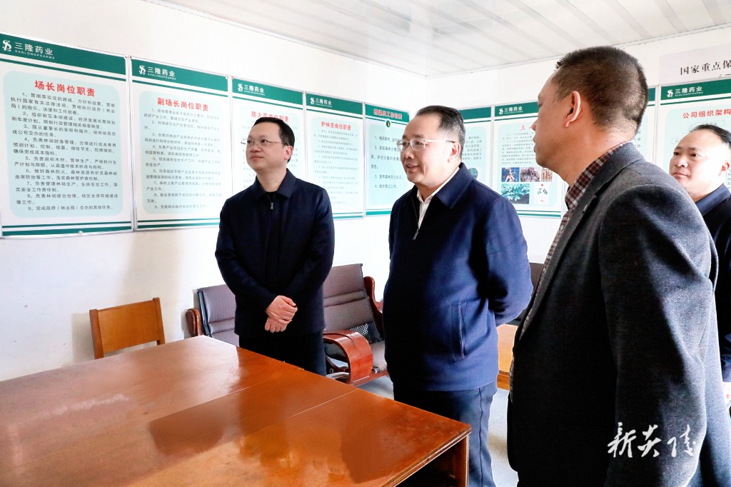 聂方红在炎陵调研时强调：全力推动重点项目建设提速增效