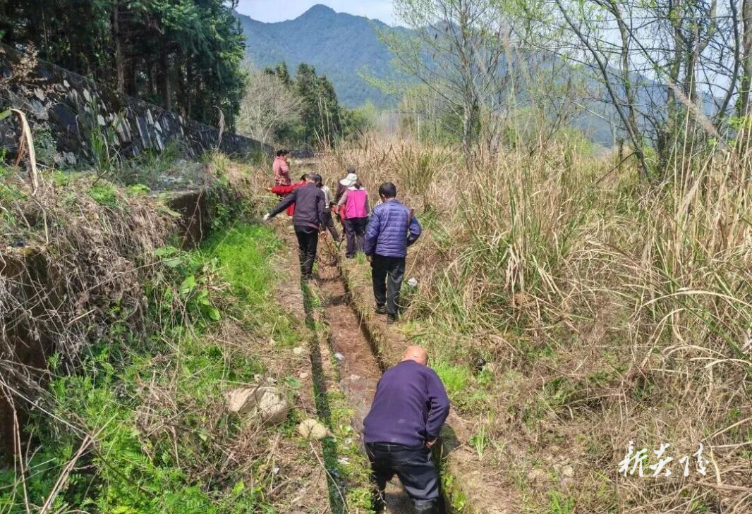 水口镇：冬春训“接地气” 清淤通渠保丰收