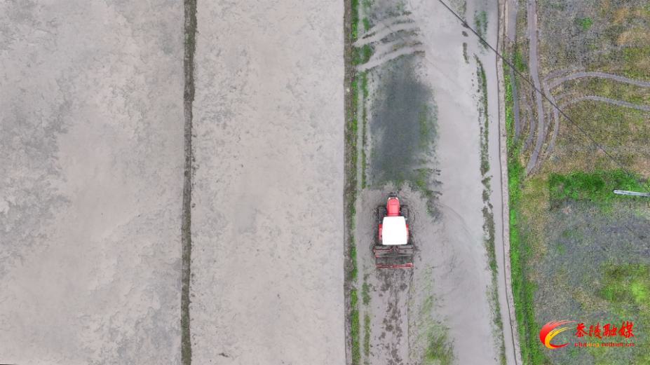 茶陵：抢抓农时忙春耕 践行 “开局八好” 绘丰景