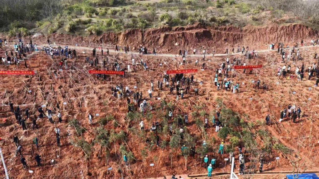 让每一抹绿，既是风景又有“钱”景