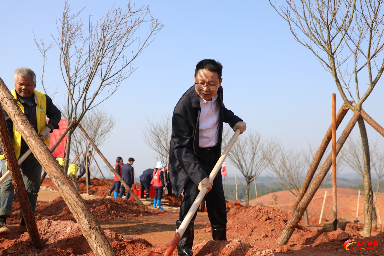 茶陵开展义务植树活动：添绿2.2万株 共筑生态家园