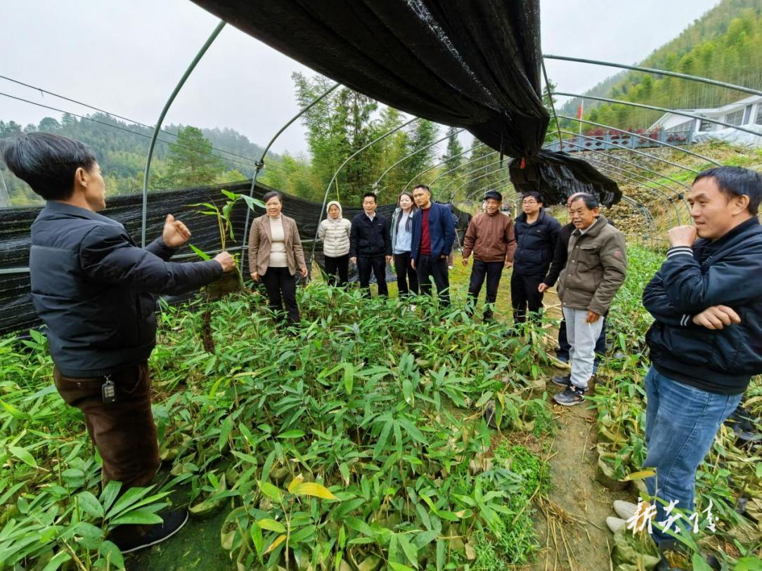 十都镇：冬春训学干并举 一村一品赋能乡村振兴