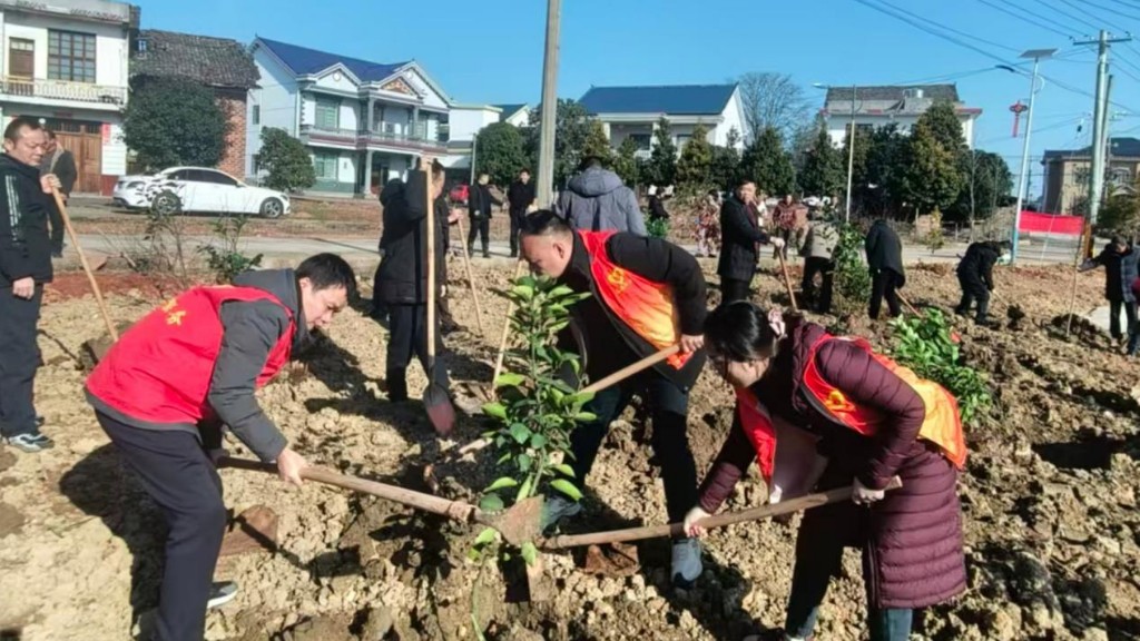 让每一抹绿，既是风景又有“钱”景