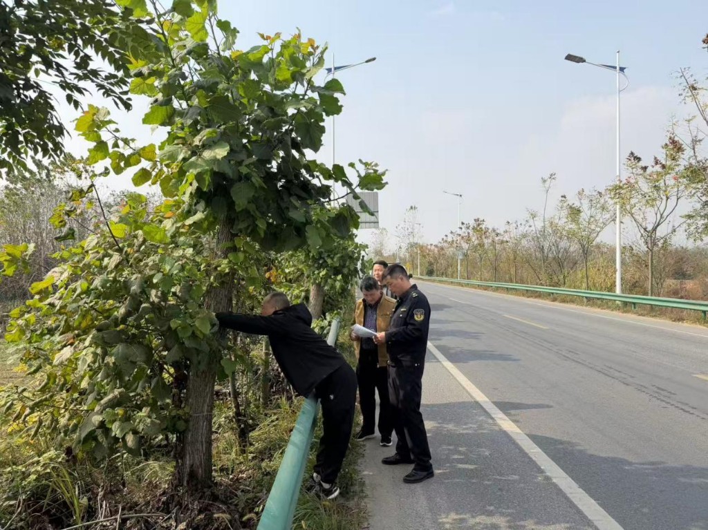 全省首例！擅自砍伐高速公路护路林，株洲交通运输执法部门开出行政处罚单