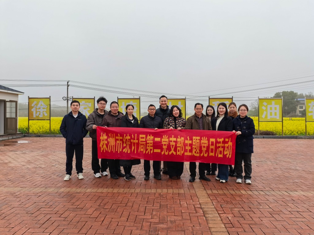 株洲市统计局第二党支部开展“党建 业务” 主题党日活动