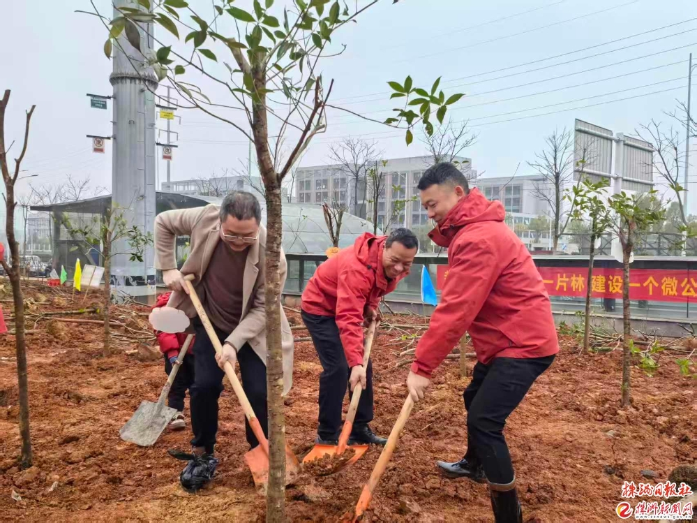 54家社会组织植新绿 5年累计植树4000余株
