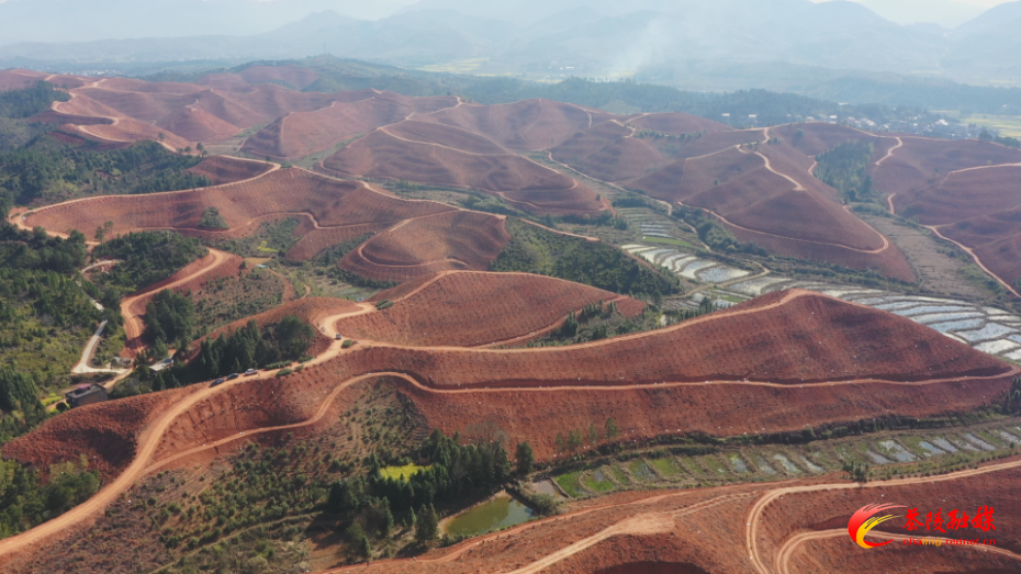 实干攻坚赋能 茶陵产业发展提质提速