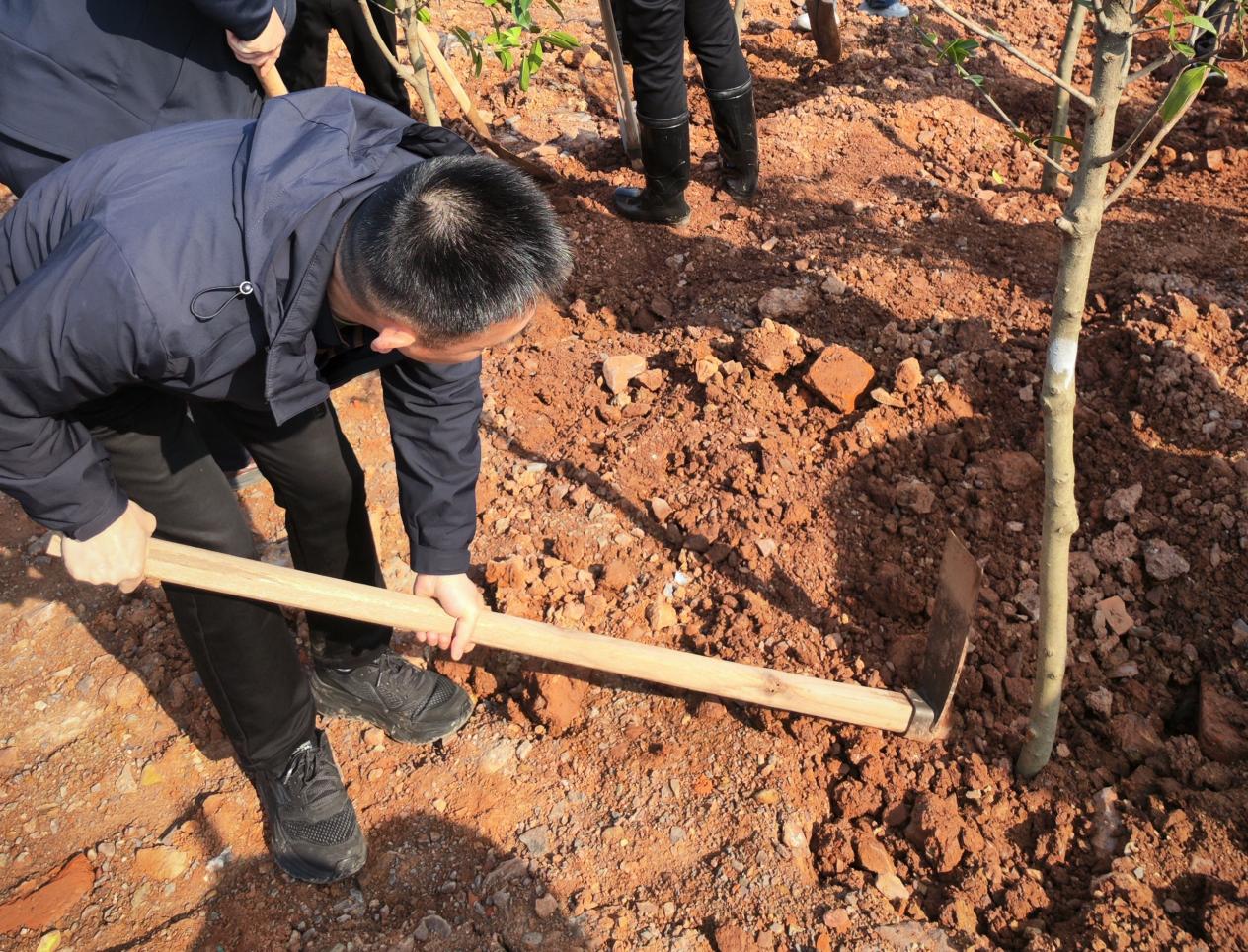 市生态环境局开展2026年义务植树活动