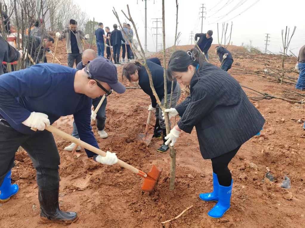市公共资源交易中心积极参加市直机关义务植树活动