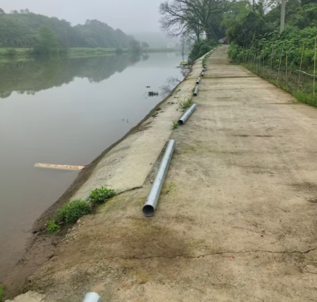 联星街道高岸村：办好民生实事 守护河岸平安