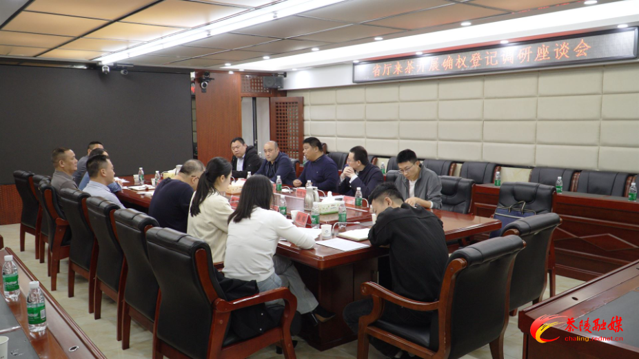 省自然资源厅自然资源确权登记局来茶调研