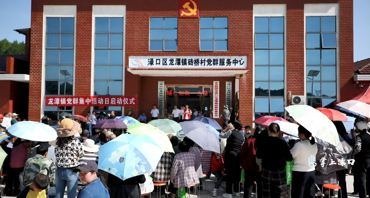 便民服务、美食体验、宝藏阵地全免费——龙潭镇“党群集中活动日”在砖桥村启动