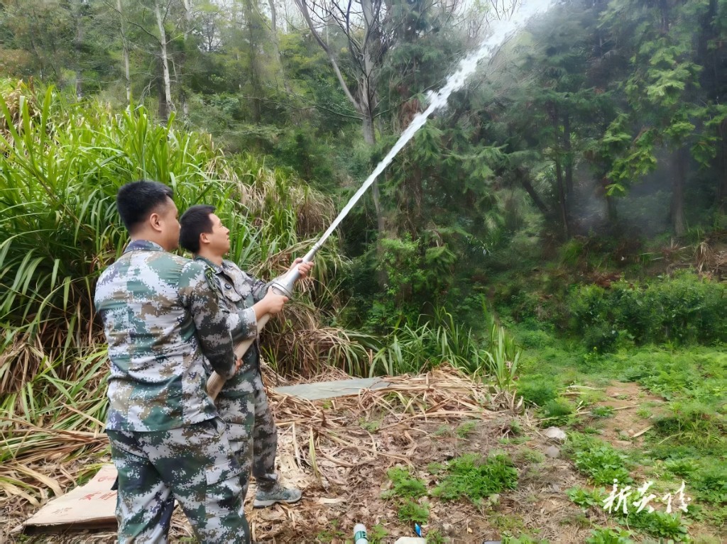 船形乡：培训演练双管齐下 筑牢森林防火屏障