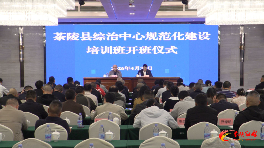 茶陵县组织开展2026年综治中心规范化建设培训