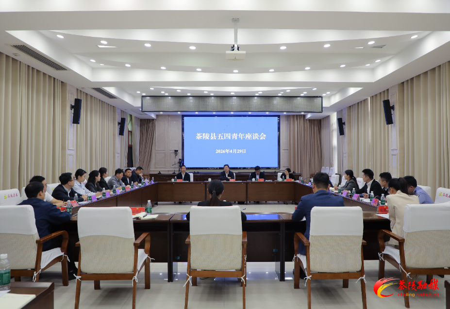 杨红兵与青年干部座谈交流