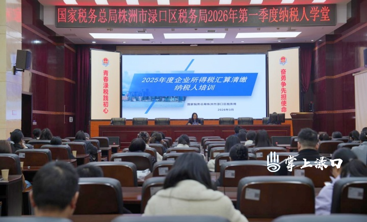 渌口区税务局举办纳税人学堂！精准辅导助力提质增效