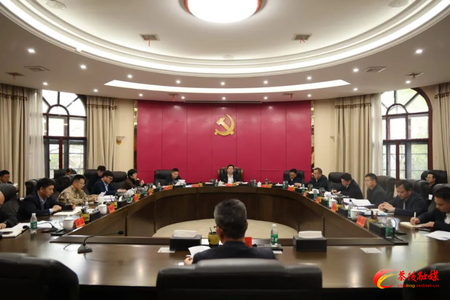 杨红兵主持召开中共茶陵县委常委会2026年第5次会议