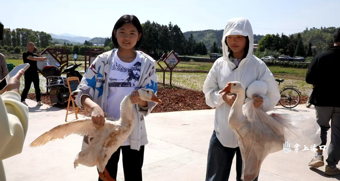 便民服务、美食体验、宝藏阵地全免费——龙潭镇“党群集中活动日”在砖桥村启动