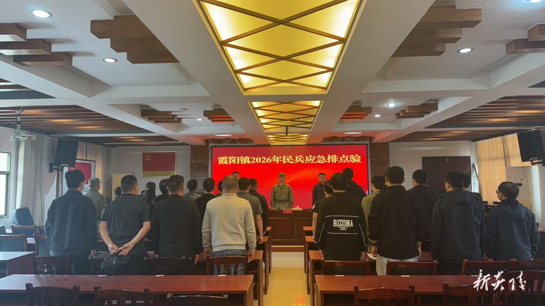 霞阳镇召开2026年民兵应急排点验大会