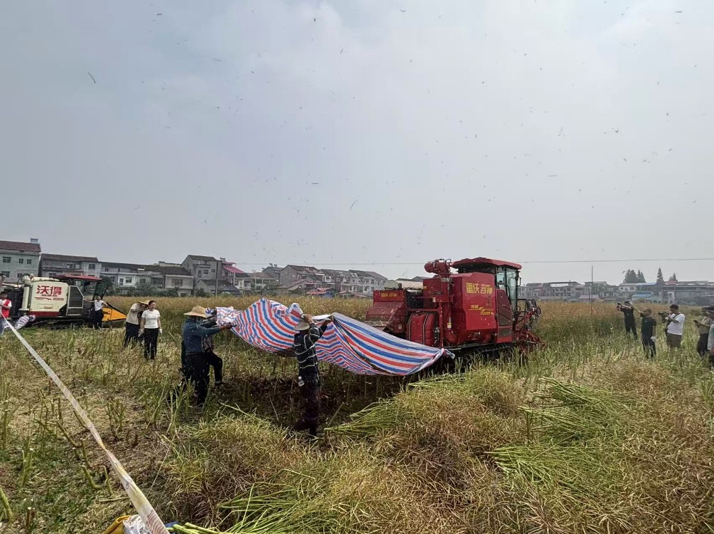 学技术 强本领 减损耗——株洲市积极参加全省油菜机收减损及应急作业服务技术培训