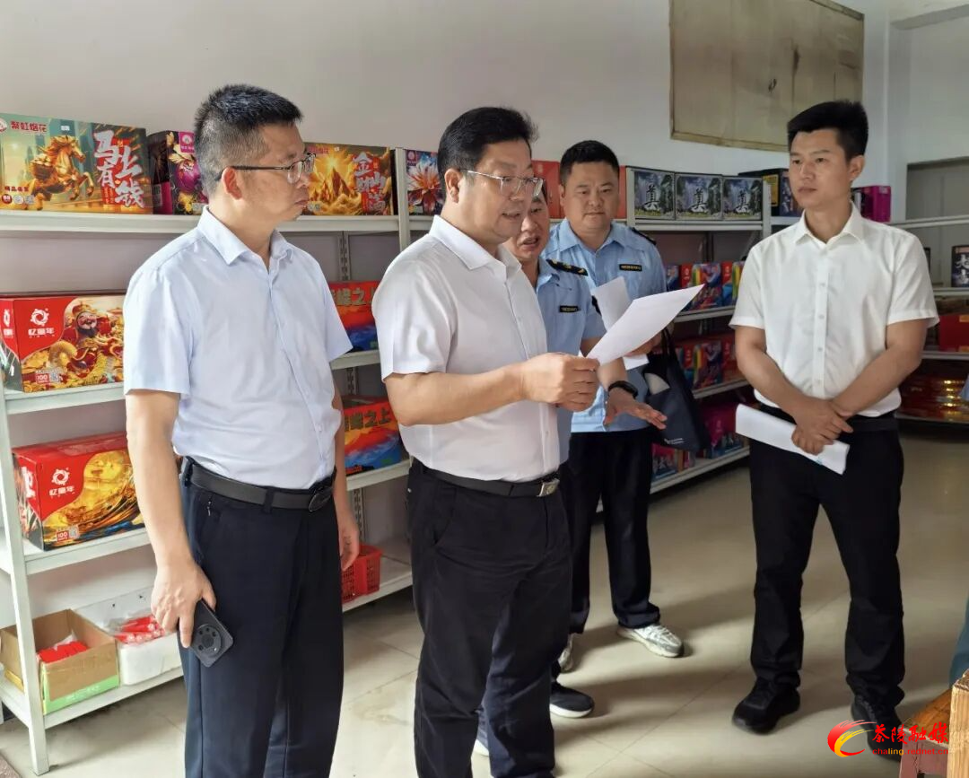 杨红兵到严塘镇督导调研
