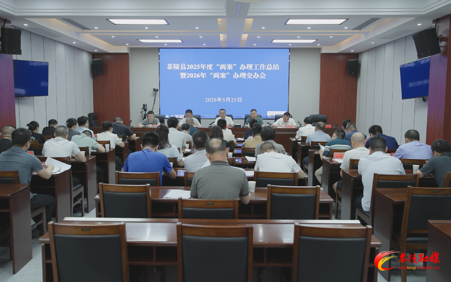 茶陵县2025年度“两案”办理工作总结暨2026年“两案”办理交办会召开