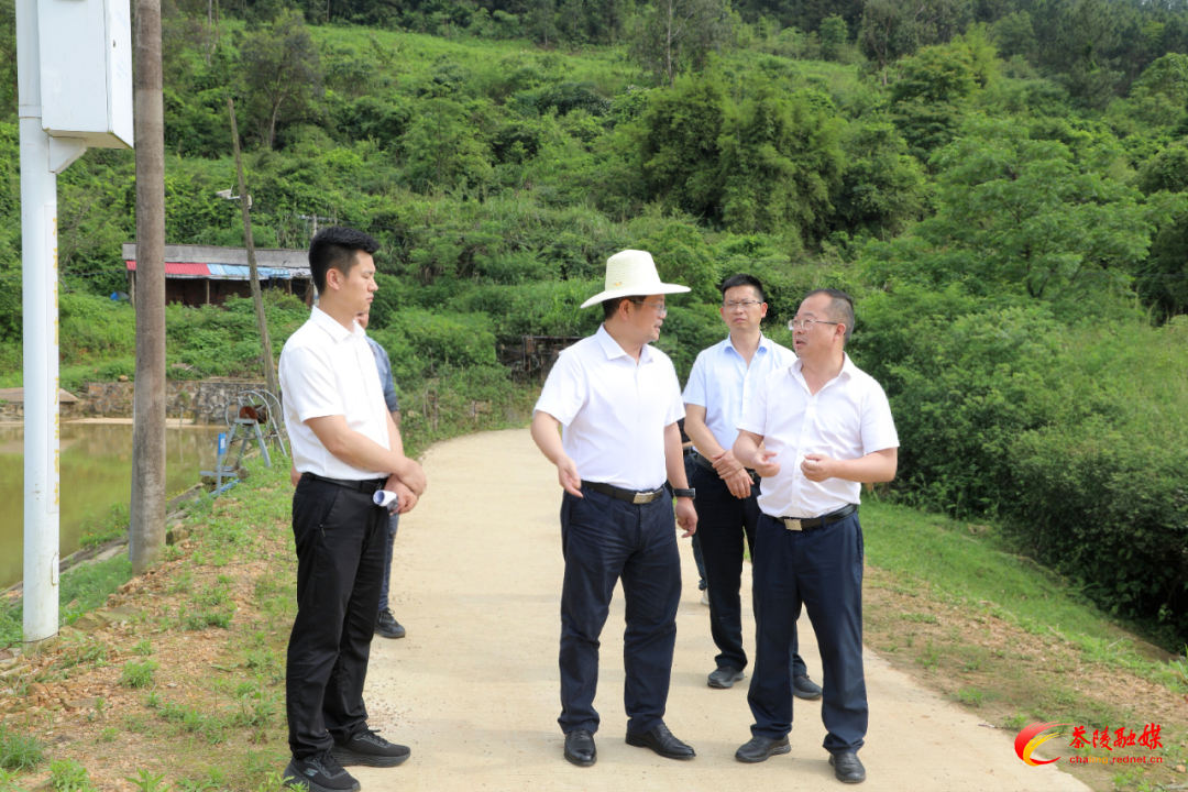 杨红兵到严塘镇督导调研