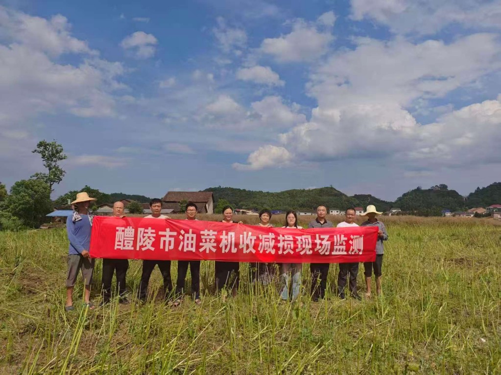 落实机收减损 守护粮油安全 —— 株洲市农机事务中心赴醴陵开展油菜机收损失率测定