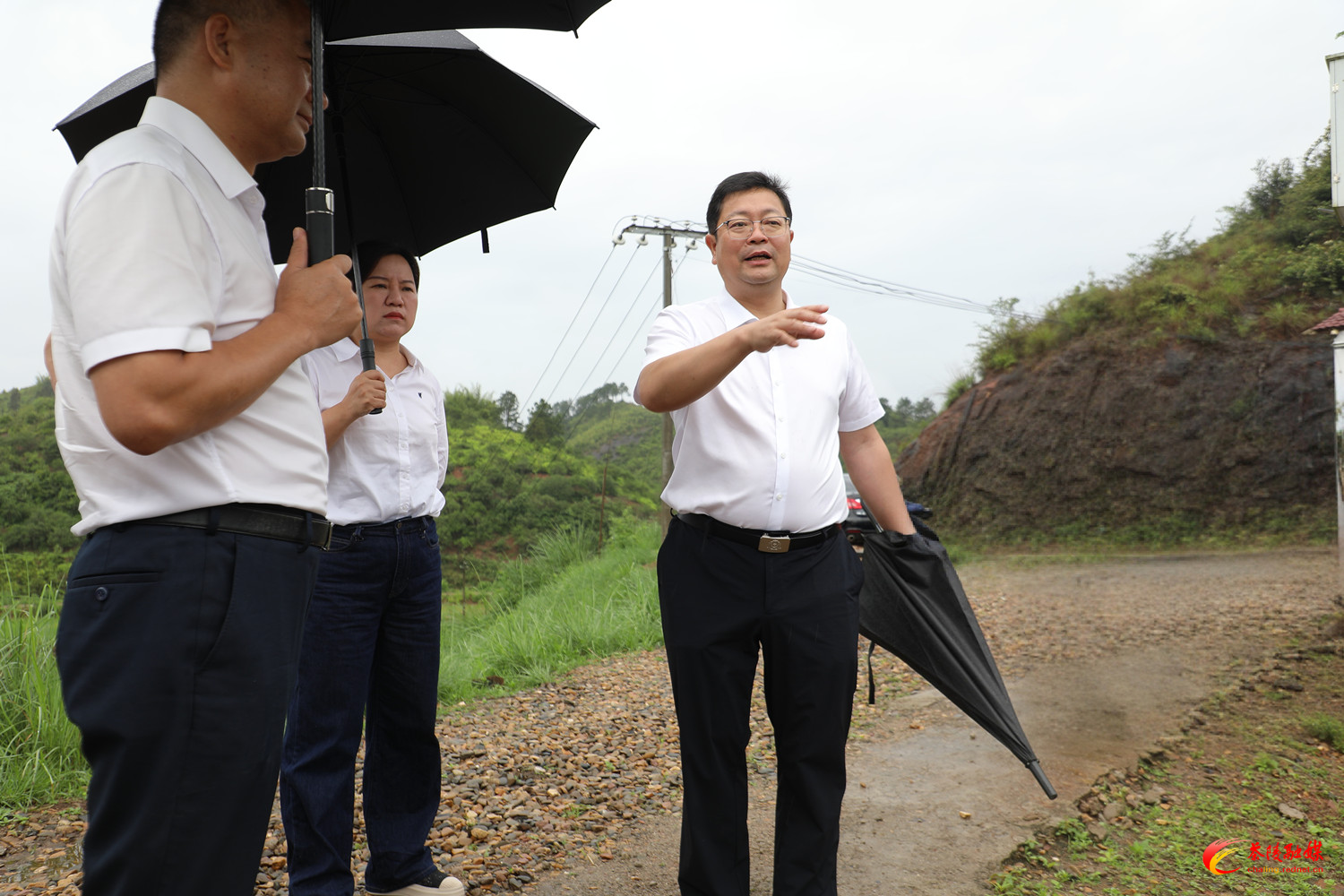 杨红兵督导防汛备汛和地质灾害防治工作