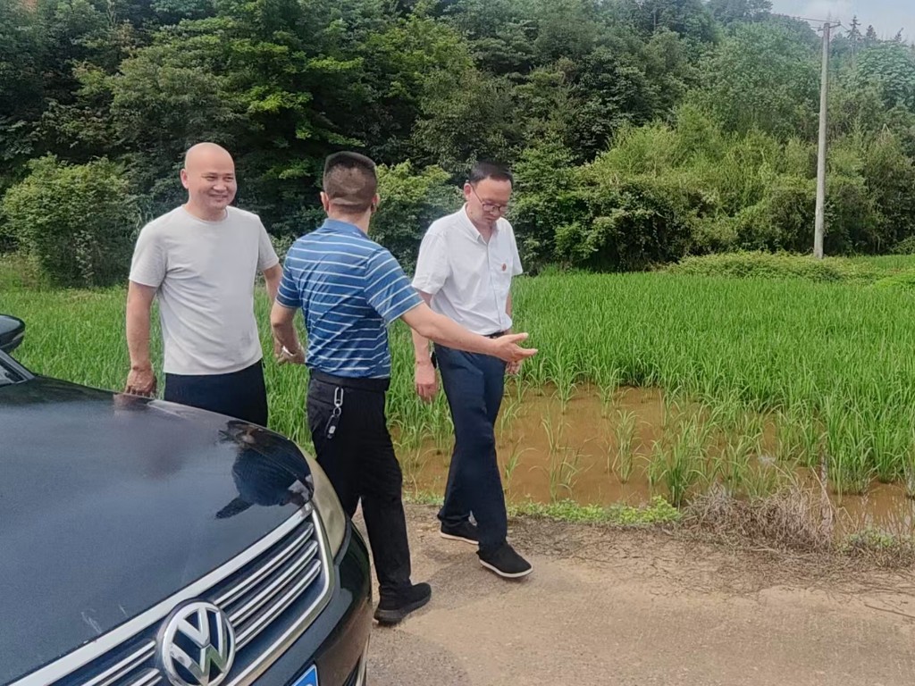 市中心到渌口区开展机插抛面积核查