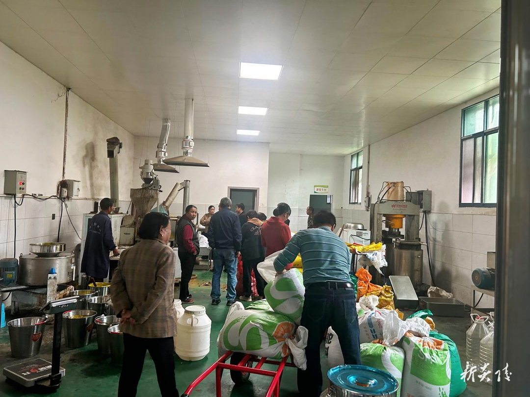水口镇：小小榨油坊 “榨”出乡村新动能