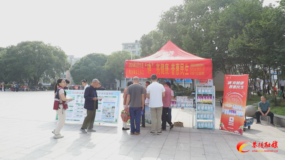 茶陵县多部门联合开展防治碘缺乏病日主题宣传活动