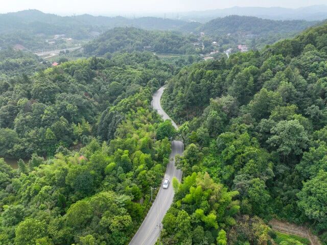 长株潭生态绿心，如何守得住又活起来？他们有话说