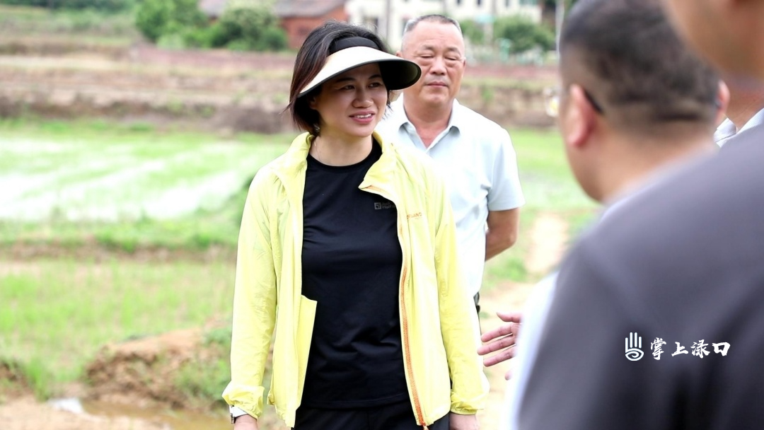 赖晓智到镇村调研高标准农田建设工作