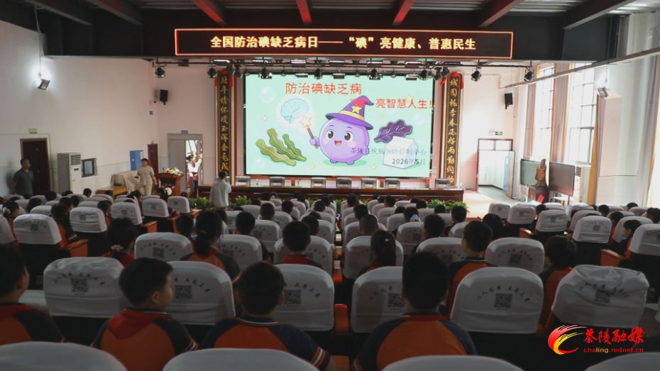 茶陵县多部门联合开展防治碘缺乏病日主题宣传活动