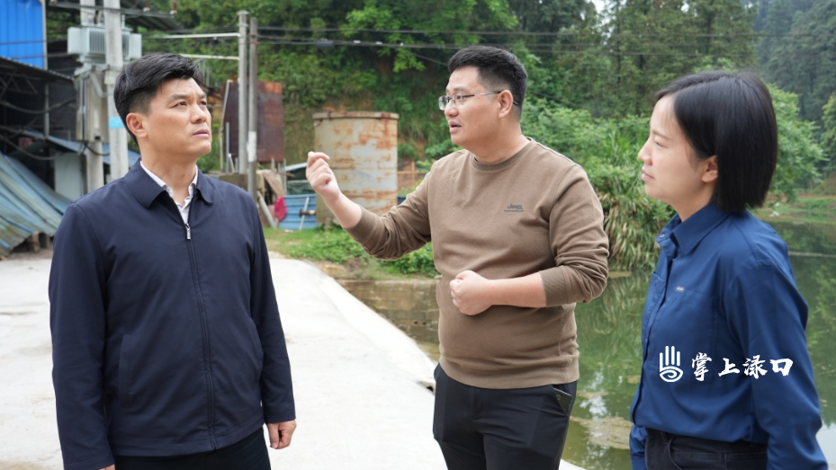 周天浩到龙潭镇督导相关工作