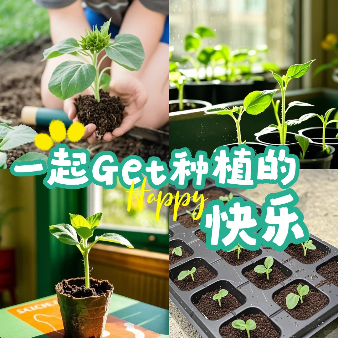“一元捐”？这周六来未来云“播种”善意，收获更多！