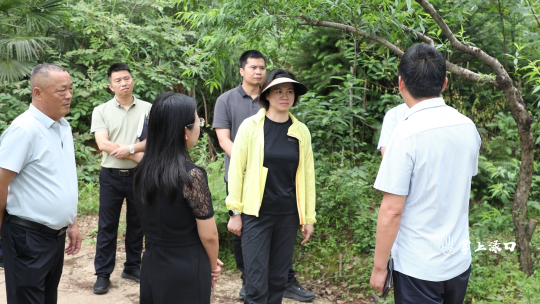 赖晓智到镇村调研高标准农田建设工作