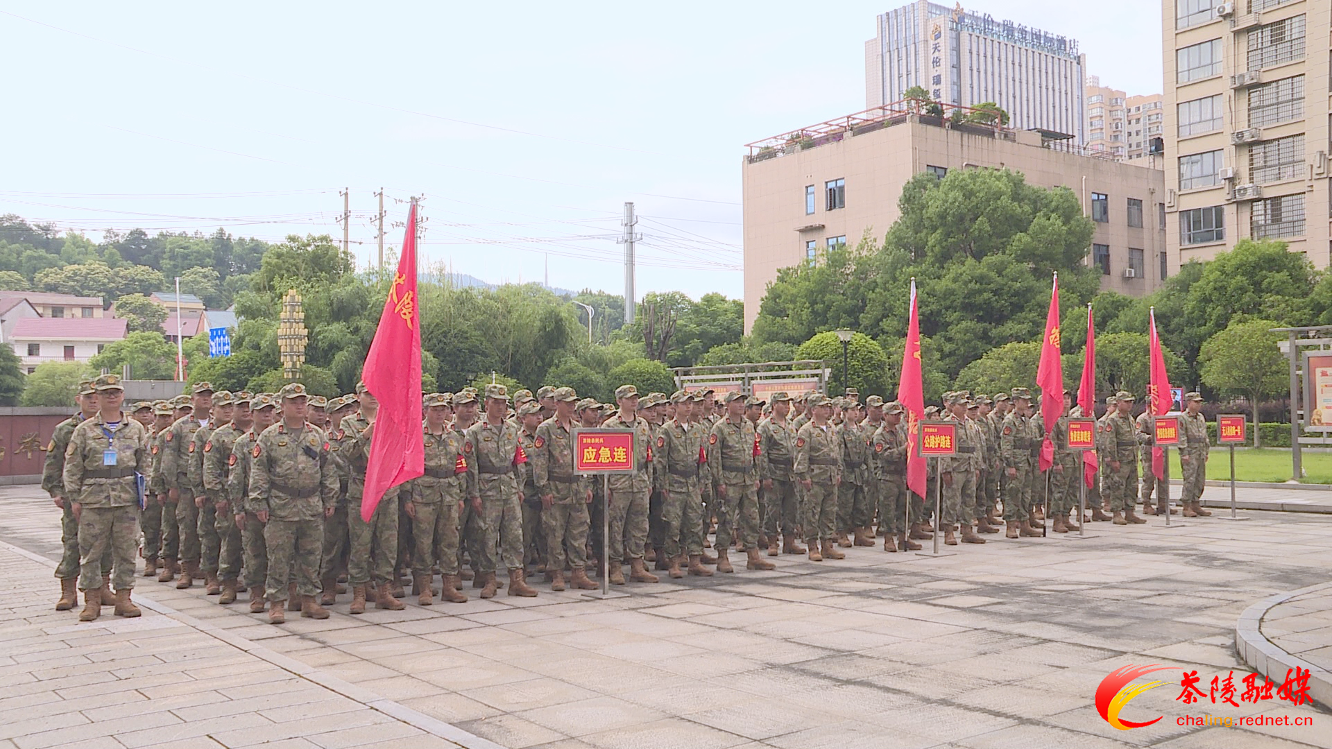 株洲市军地联合检查组来茶检查民兵整组工作