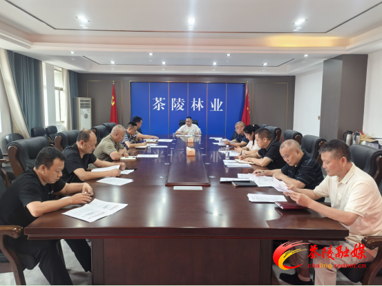 茶陵县林业局启动林业系统安全生产“大排查大整治”专项行动