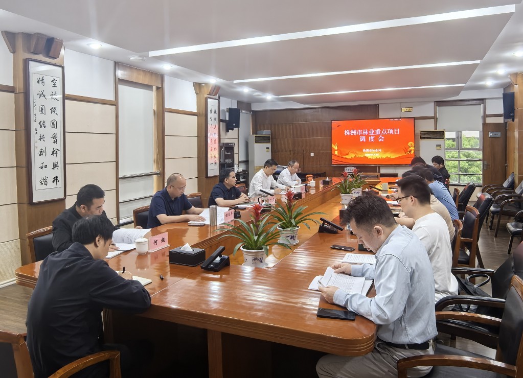 紧盯项目抓落实 聚力攻坚促发展——市林业局召开林业重点项目调度会