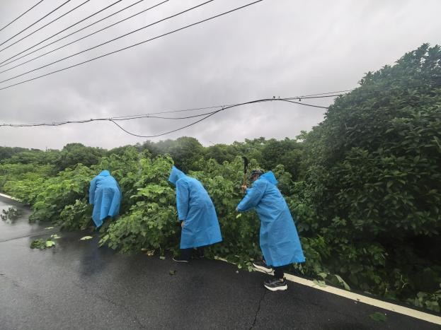 株洲渌口：风雨践初心 清障保安全