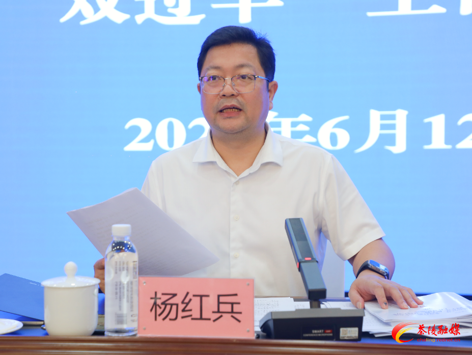 茶陵县2026年打造“三个高地”和实施“开局八好”一季度讲评暨“双过半”工作调度会召开