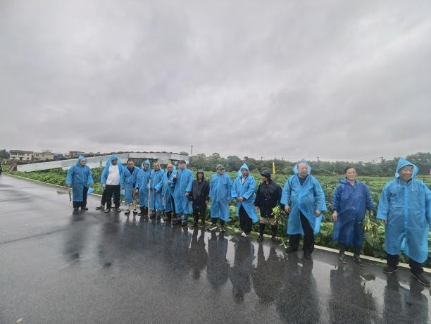 株洲渌口：风雨践初心 清障保安全