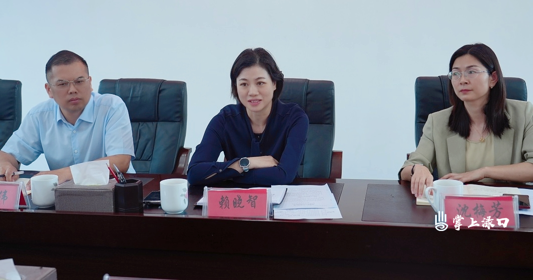 赖晓智到南洲镇调研