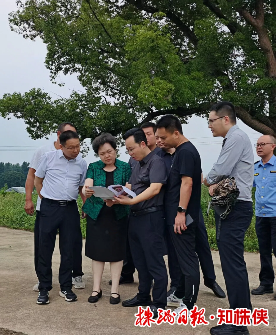 省第二生态环境保护督察组下沉县市区督察