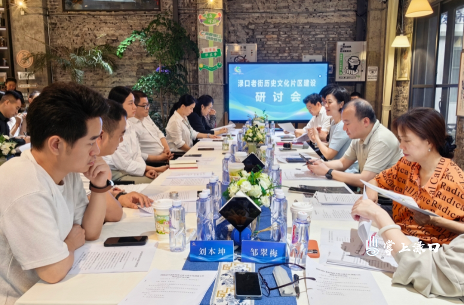 赖晓智调研渌口老街历史文化片区建设工作