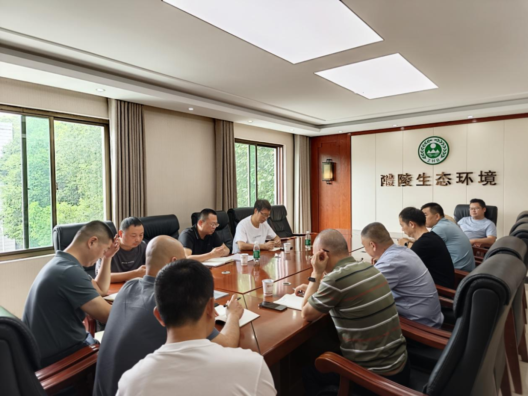 株洲市全力推进督察“回头看”边督边改工作