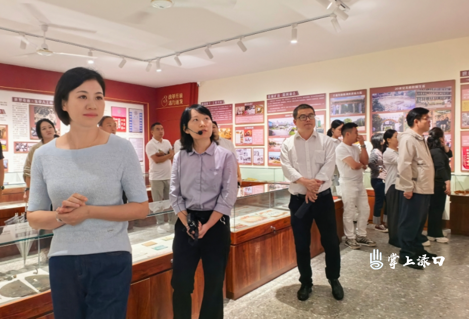 赖晓智调研渌口老街历史文化片区建设工作