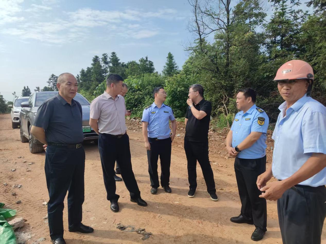 株洲市全力推进督察"回头看"边督边改工作